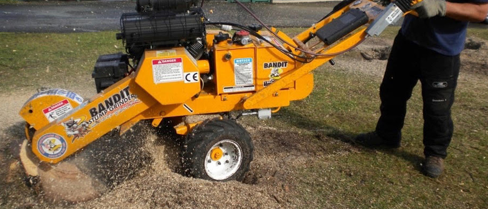 Stump Grinding Highlands