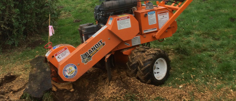 Stump Grinding Highlands