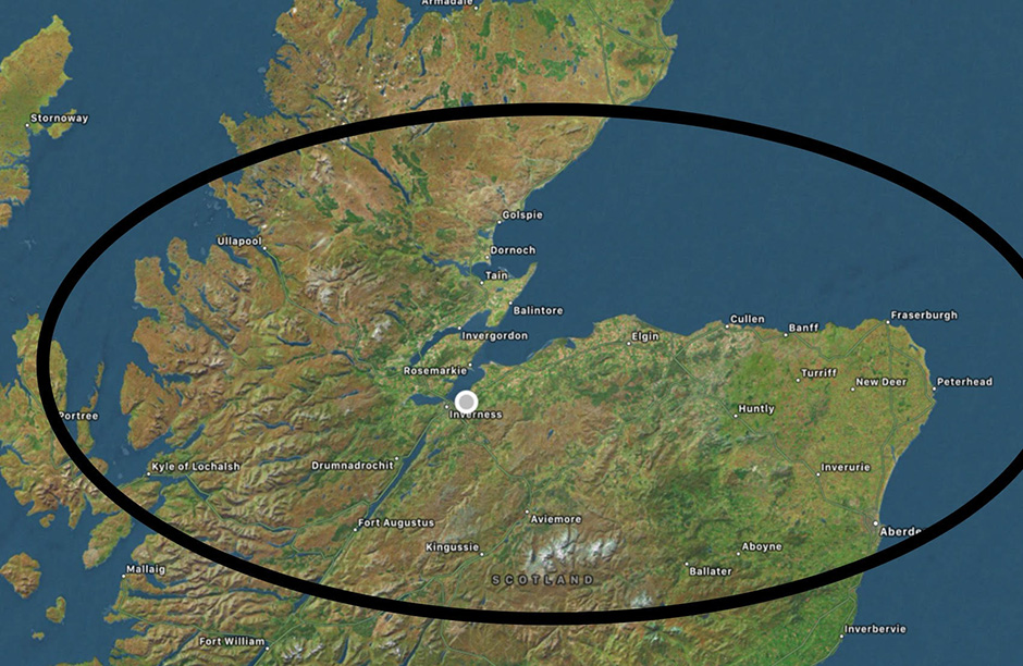 Stump Grinding Highlands